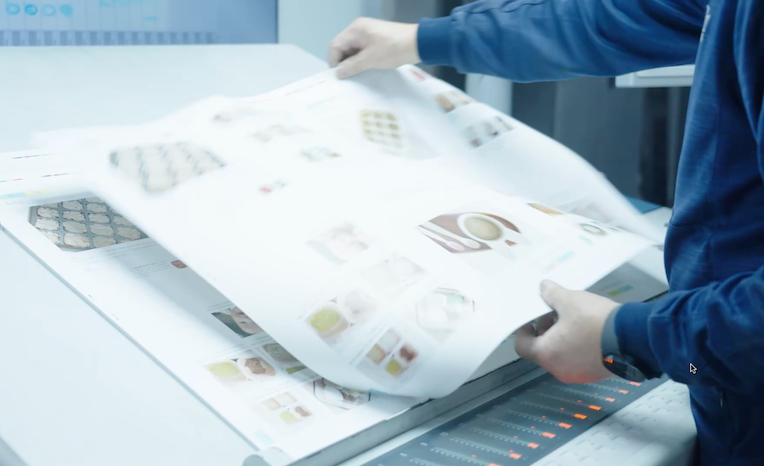 Technician inspecting freshly printed sheet from press to ensure quality and consistency